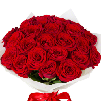 Букет из 25 красных роз "Наполеон"